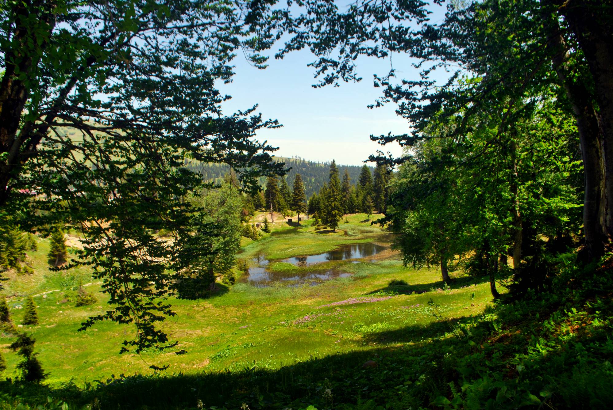 Alpine Botanical Garden