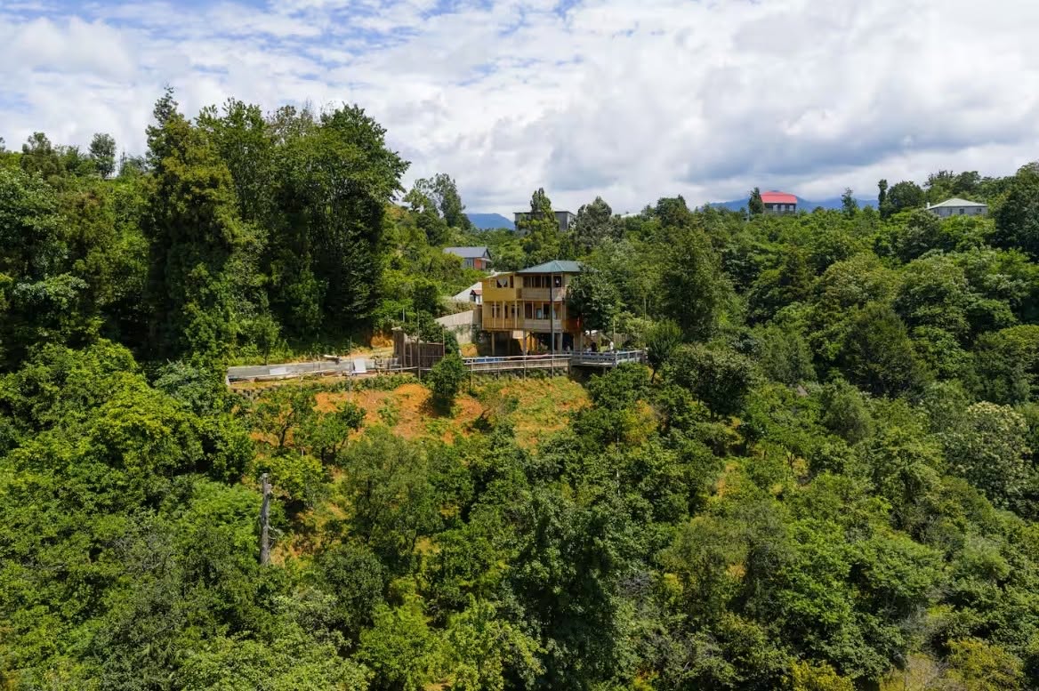 Goldenseaview TreeHouse