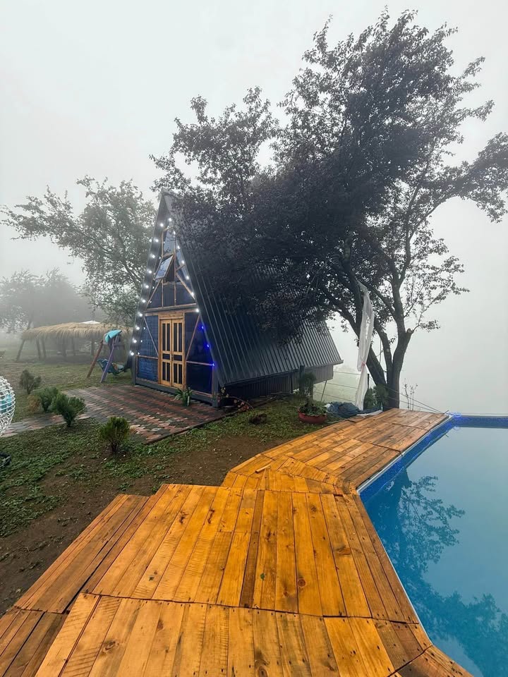 Paradise • პარადაისი