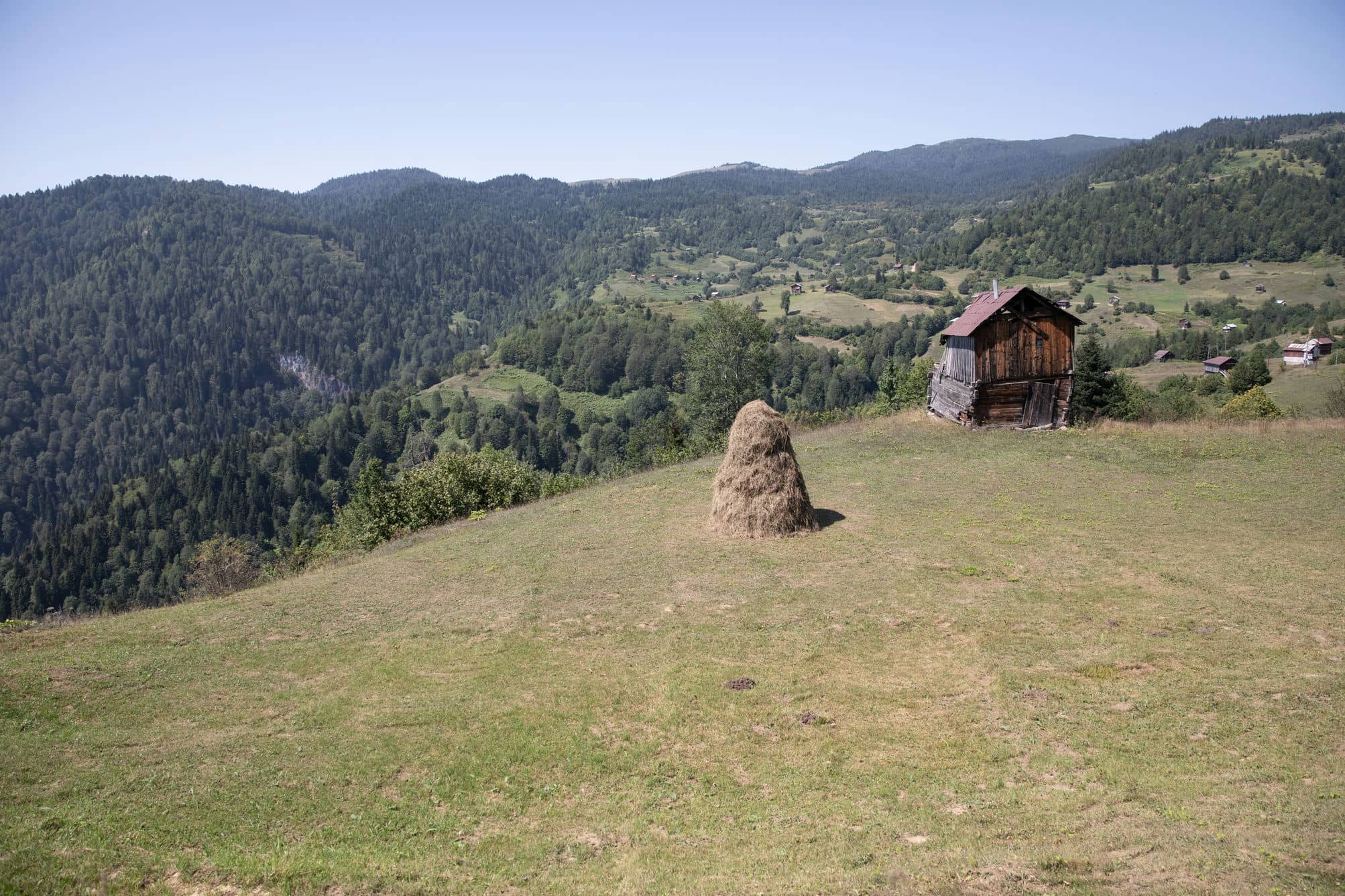 უჩხო კანიონინგი
