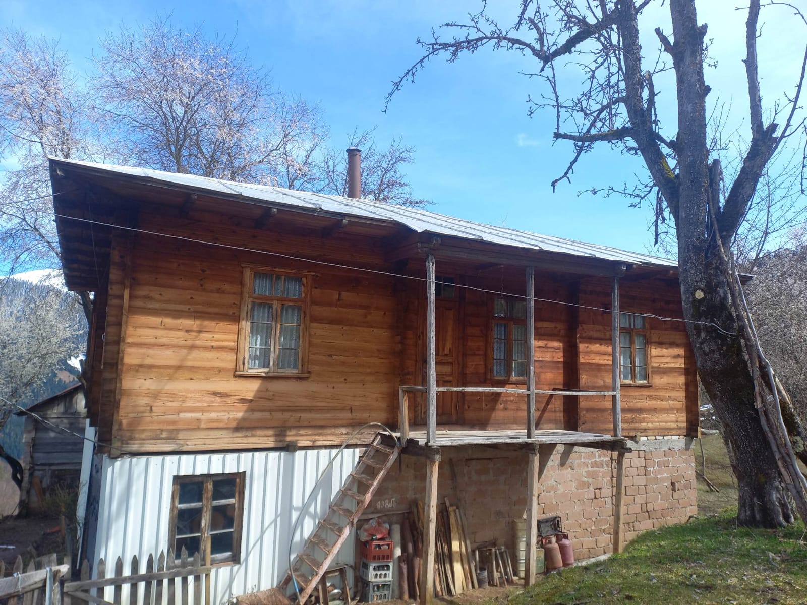 Брилл Арт