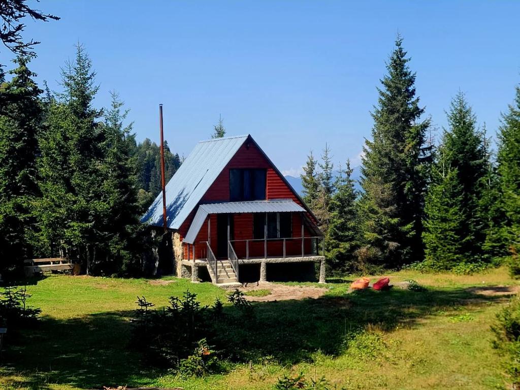 არწივის ბუდე eagle's nest 2