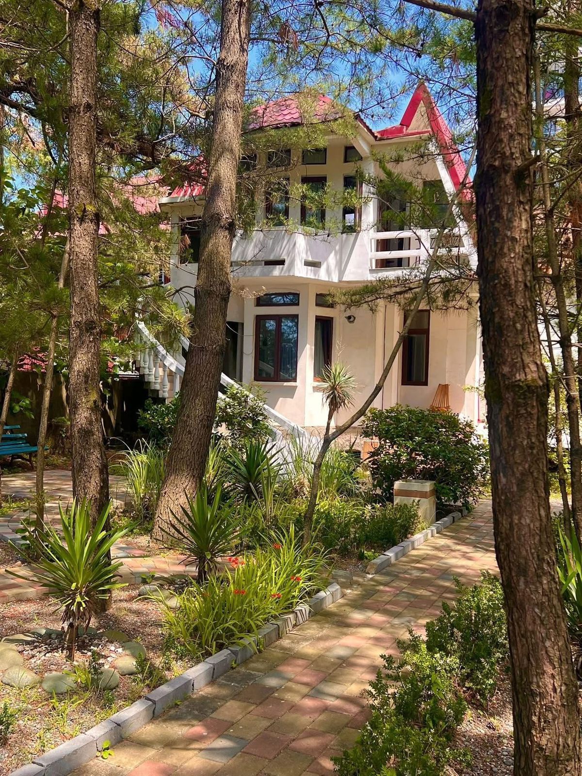 გრანდიფლორა