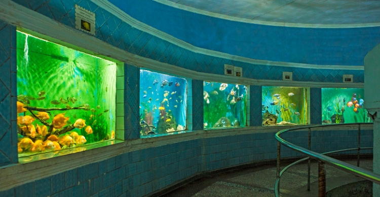 Batumi Aquarium